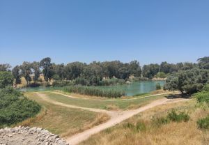 פארק אפק ומבצר אנטיפטריס